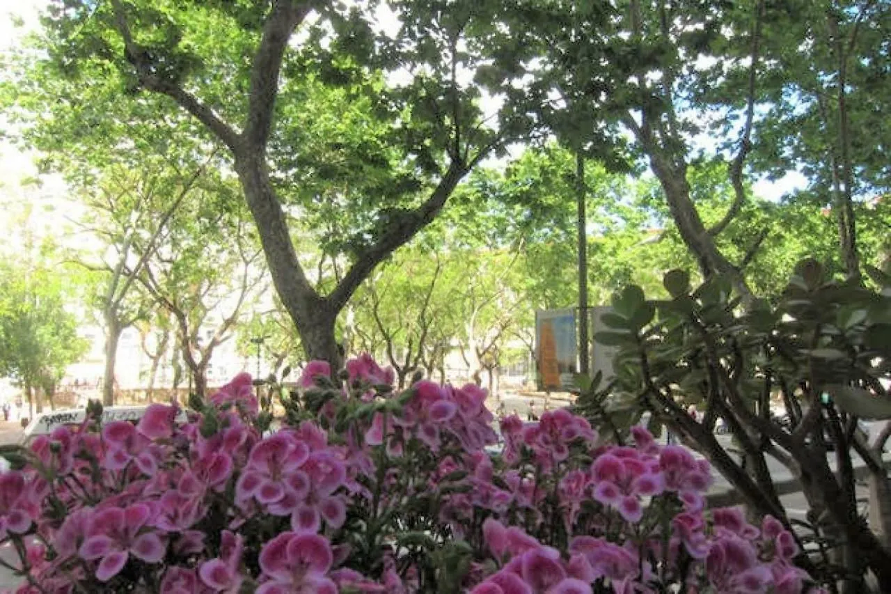 Sant Antoni Lovely Apartment Barcelona Spain